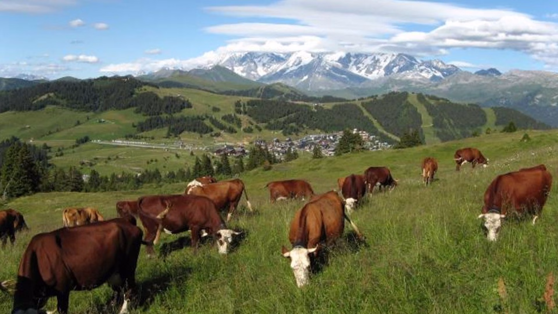 Les Saisies