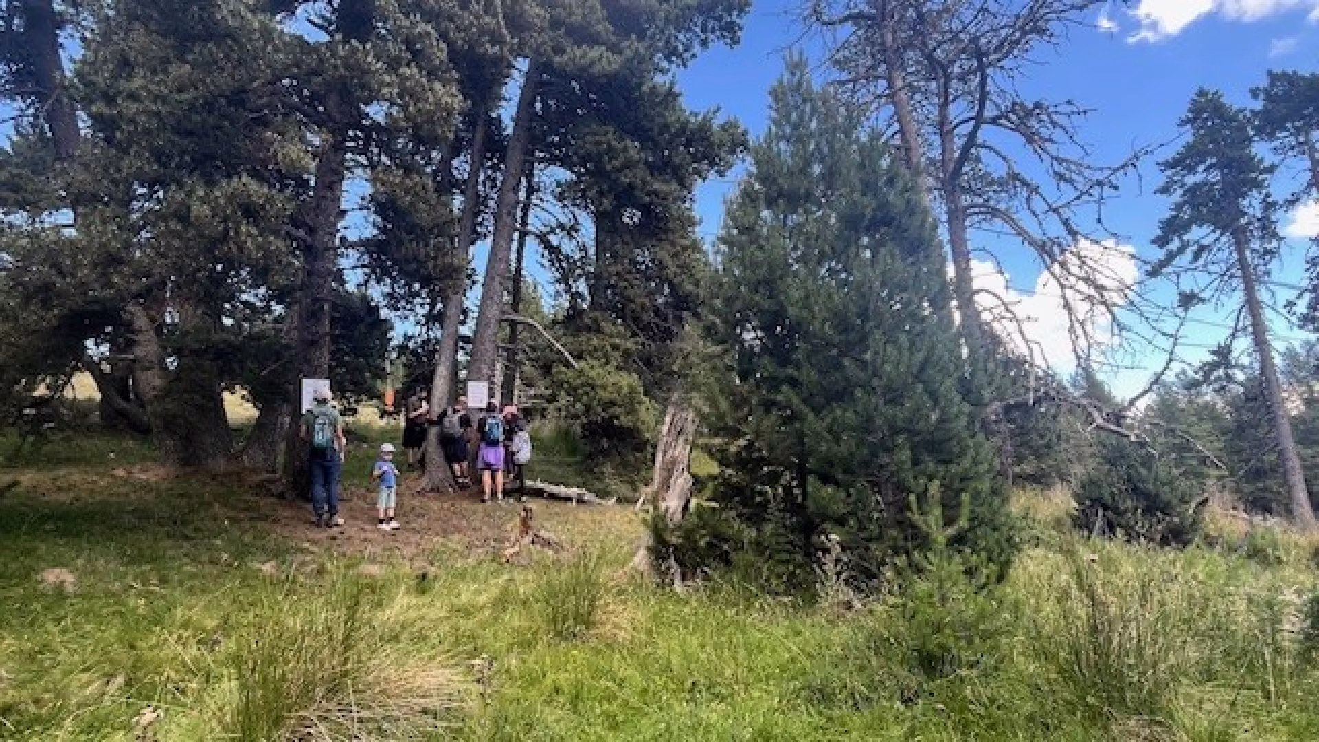Font Romeu TCD26