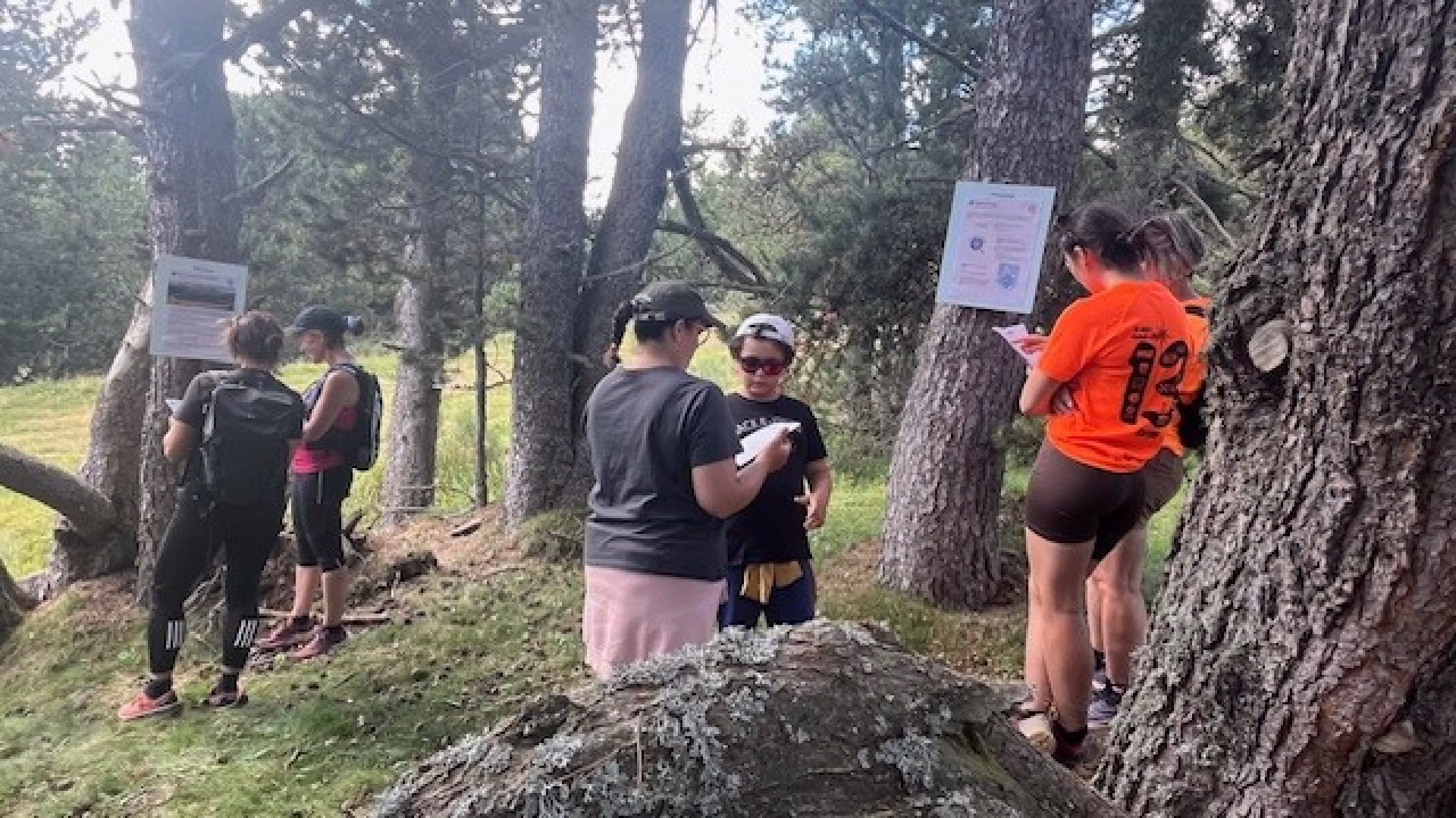 Font Romeu TCD26