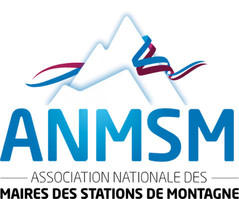 logo anmsm