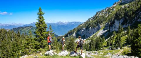 Alerte presse été 2025 OSM 