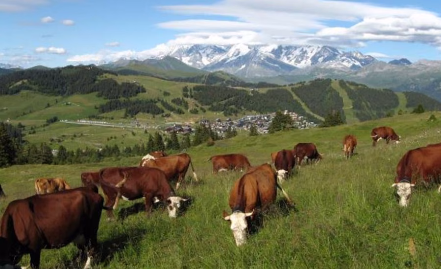 Les Saisies