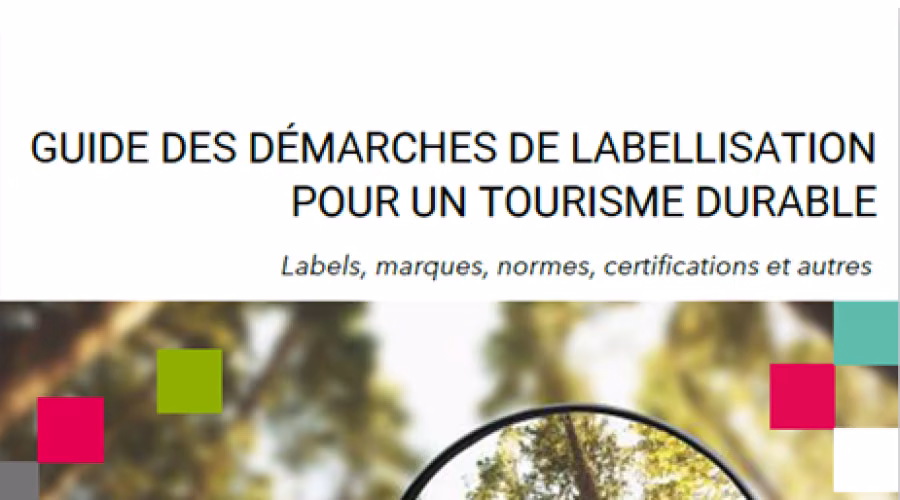 Guide label