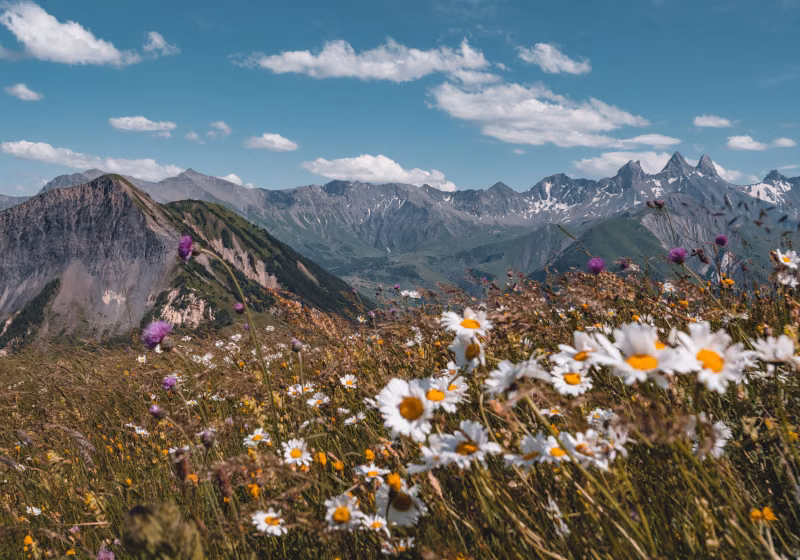 Aiguilles d'Arves