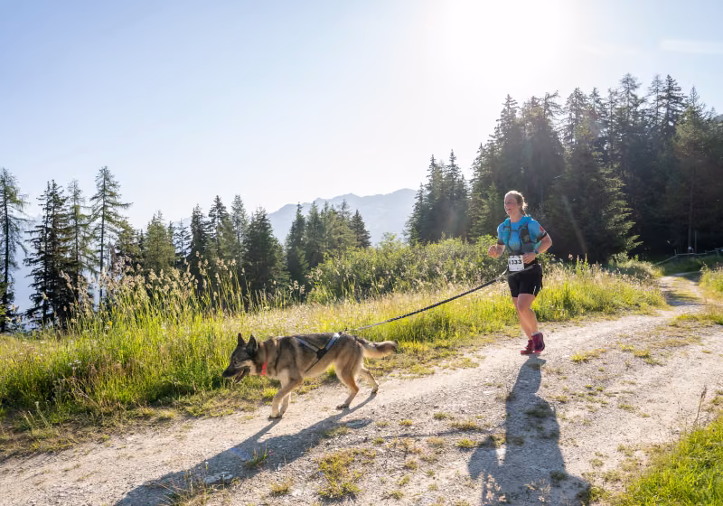 Cani trail