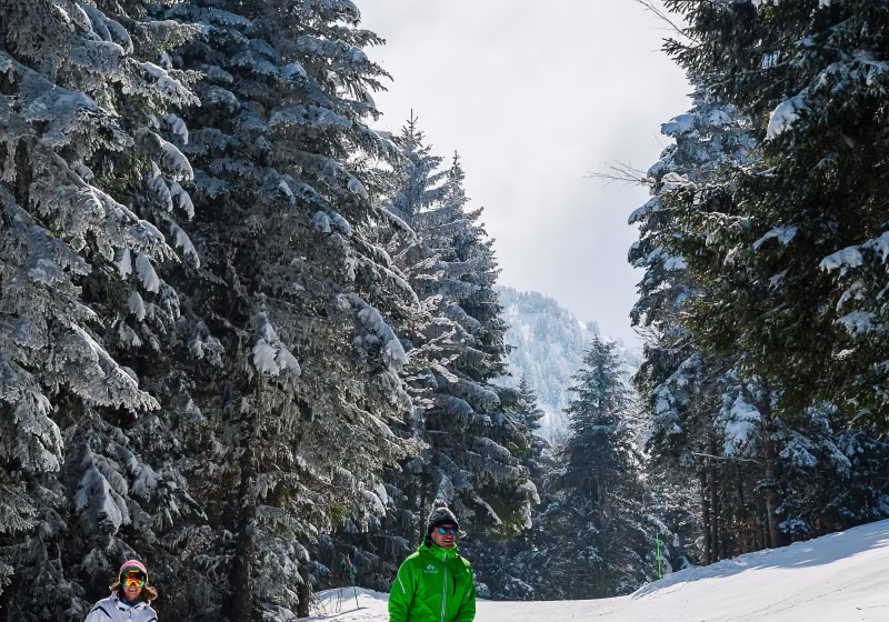 ALPES28