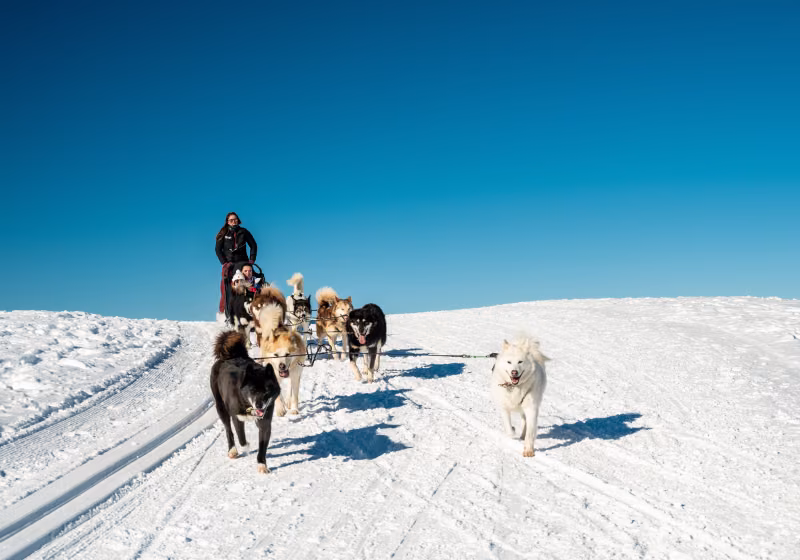 Balade_en_chiens_de_traineaux-JNJ_Photo-33675