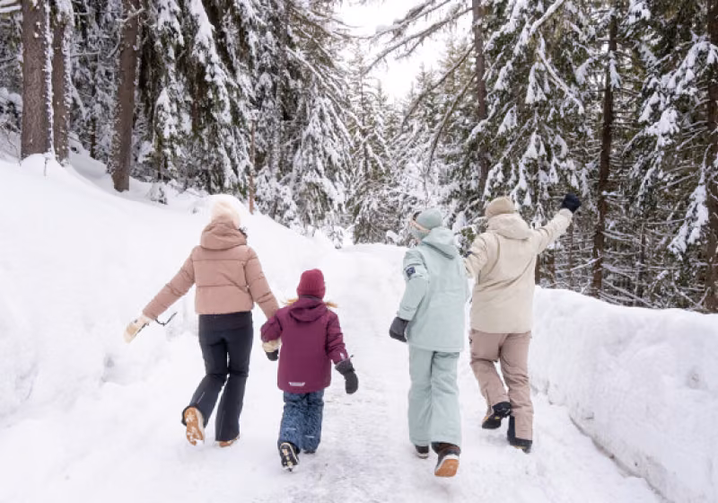Balade en foret en famille