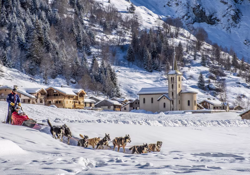 Chiens de traineau_Nomad Photographie