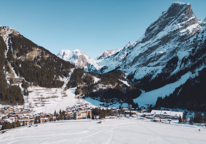 DJI_0229
