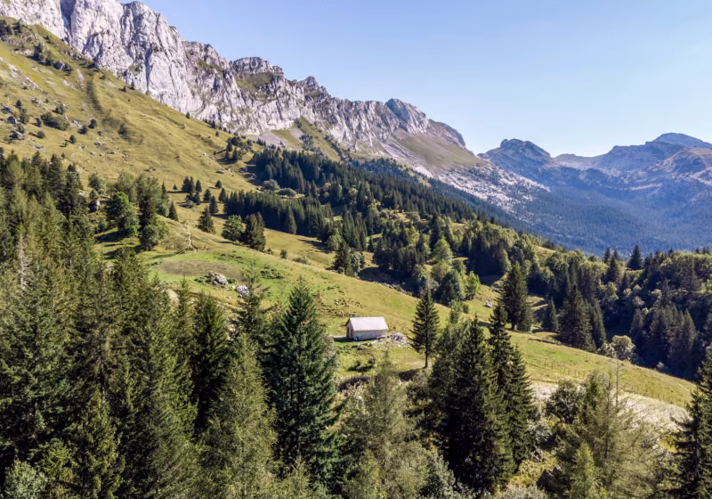 Cabane de Roybon