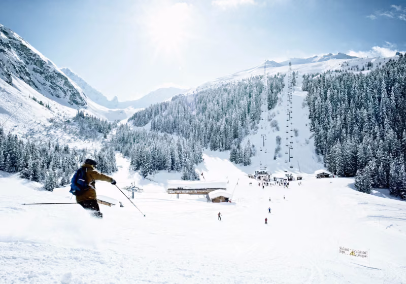 STATANMSM01730010 - DavidAndre-domaineskiable-BD
