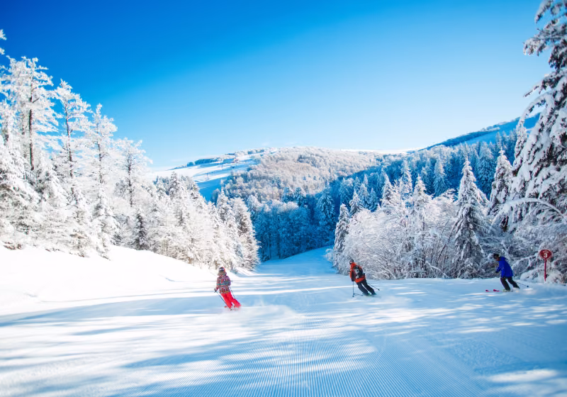 Ski à La Bresse HohneckLabellemontagne