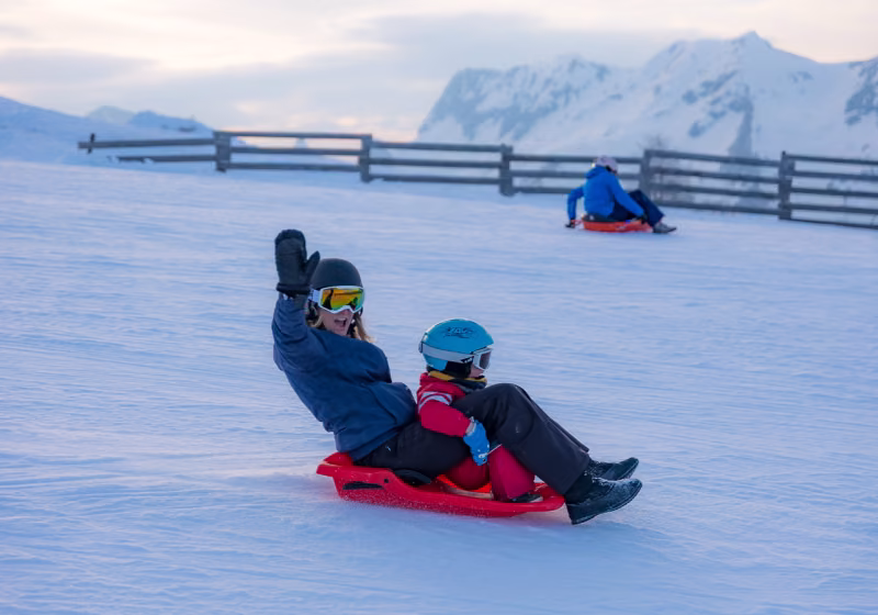 Luge