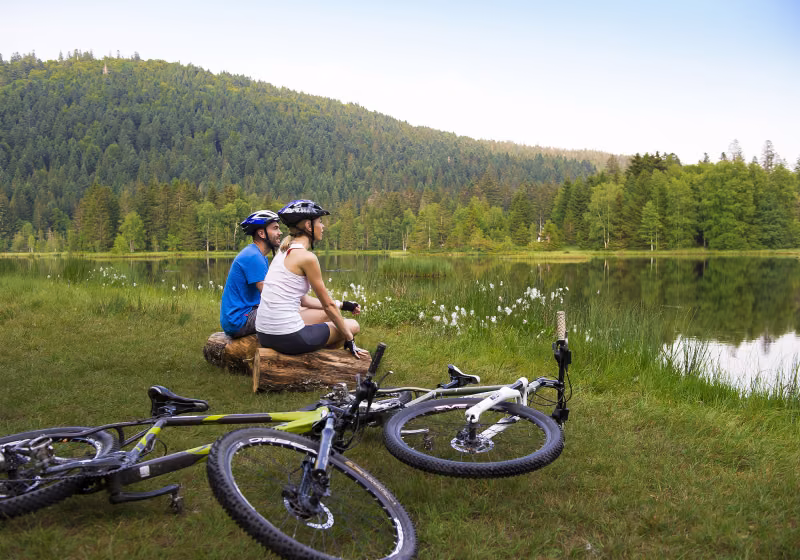 VTT