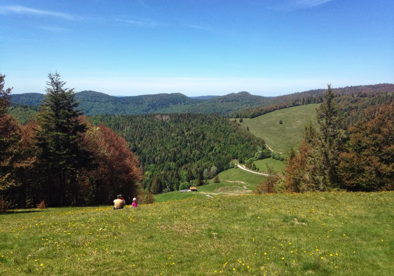 Printemps Rouge Gazon