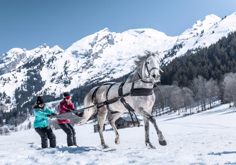 SIMA-La-Clusaz-2019-HD©Clément-Hudry-2128