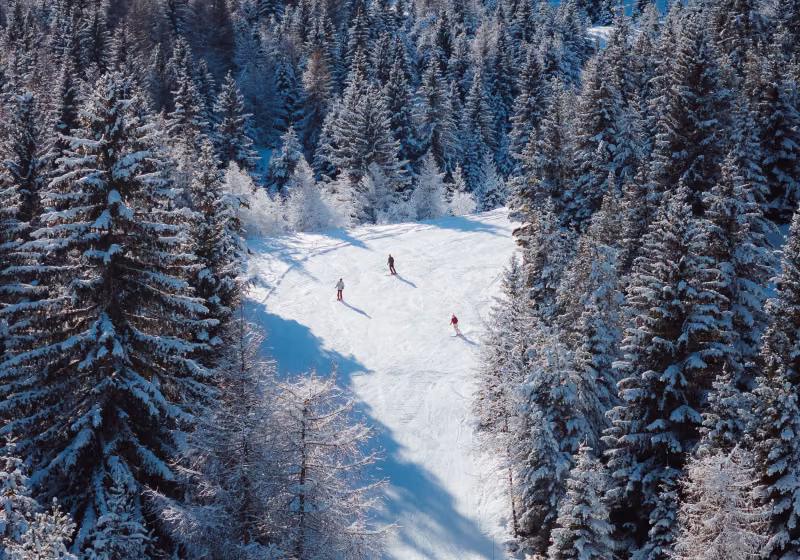 Ski