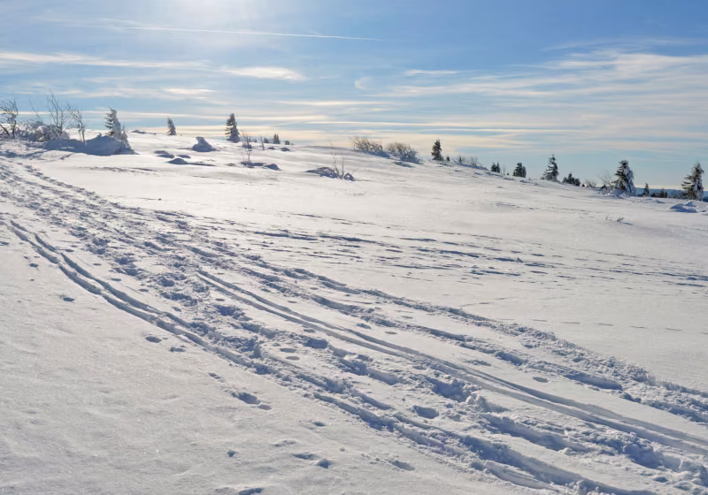Sur les crêtes