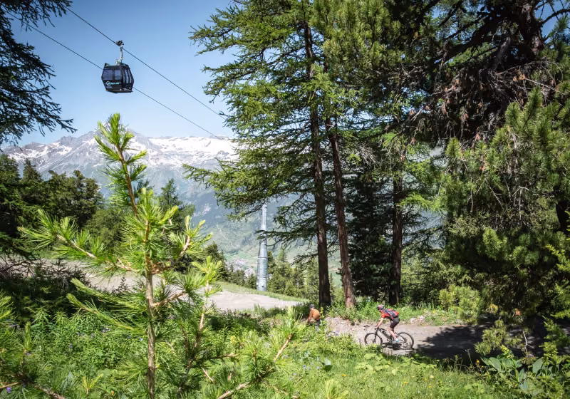 VTT RM @Jonathan Cathala (1)