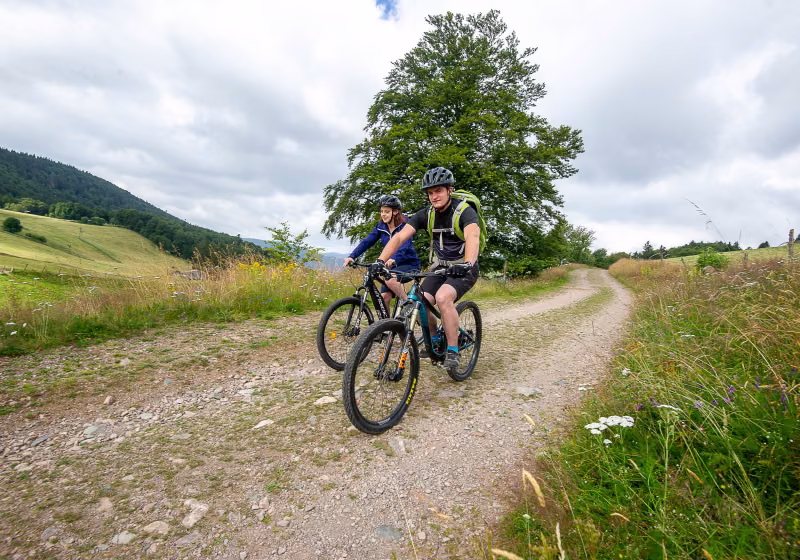 VTT Rouge Gazon