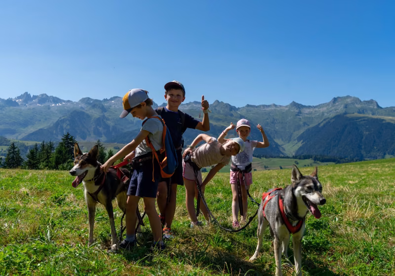 Valmorel-activité Cani-Rando-HD ©Office de tourisme Valmorel (35)