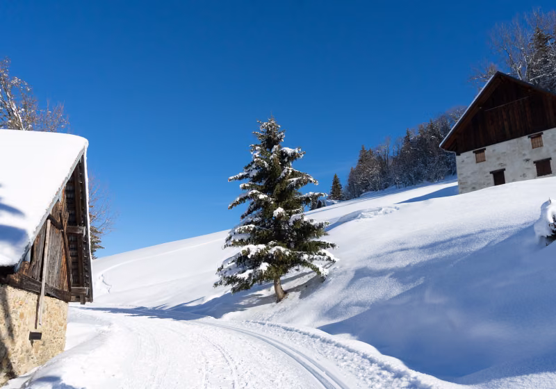 Valmorel-itinéraires nordiques-©Office de tourisme Valmorel_ BD WEB (35)