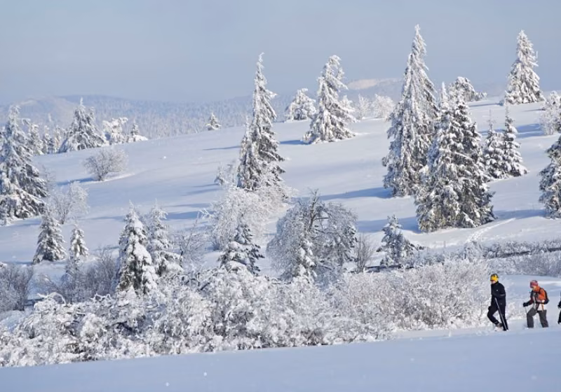 STATANMSM2V500956 - champ du feu neige 029