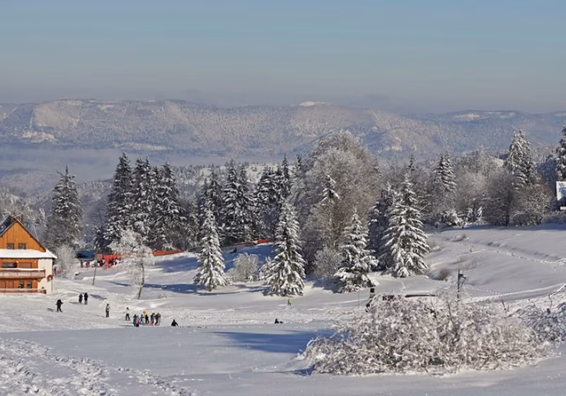 STATANMSM2V500956 - champ du feu neige 034