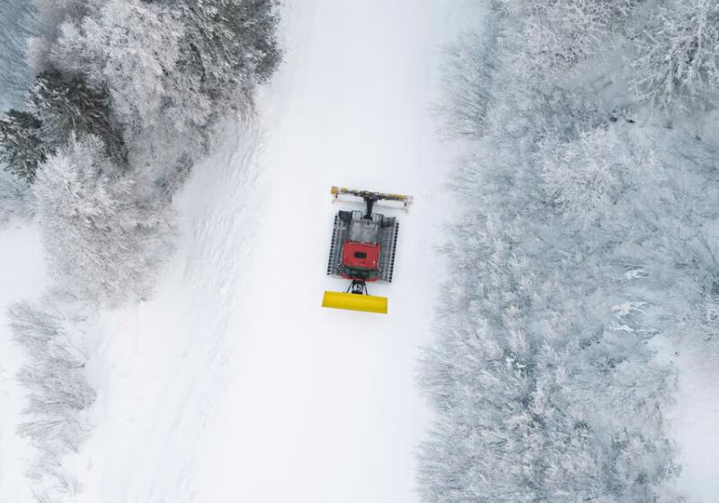 Damage de piste en forêt