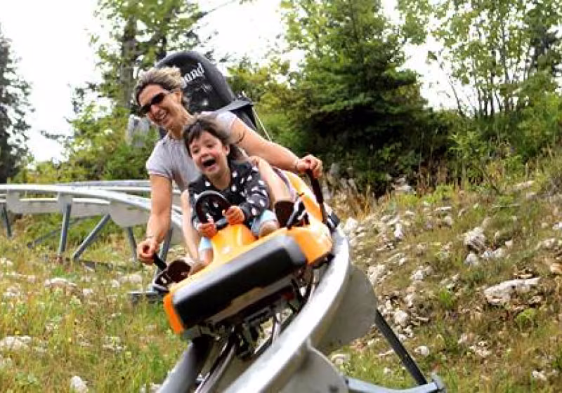 luge_web