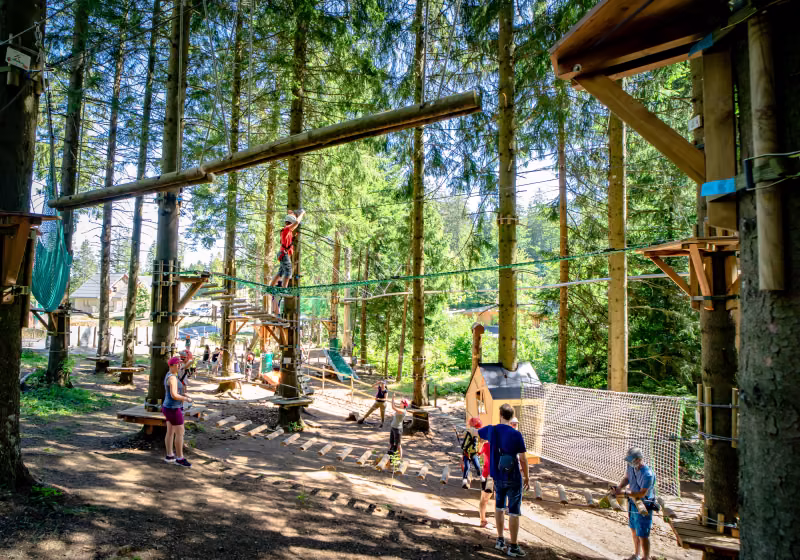 Foret ludique