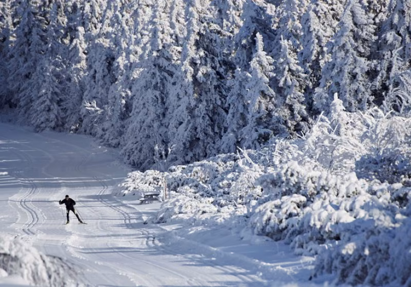 STATANMSM2V500956 - neige paysage 027