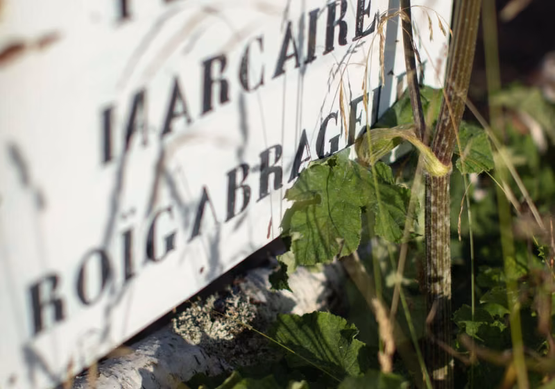 Repas marcaire