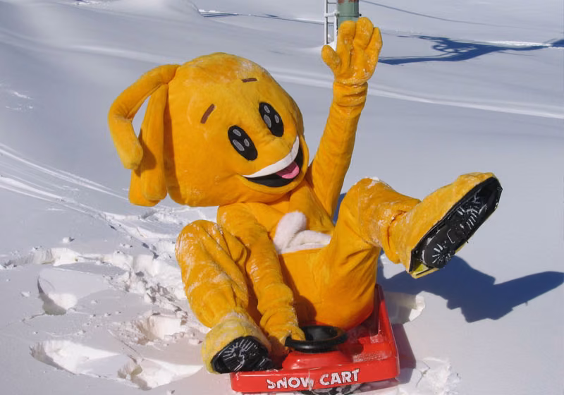 STATANMSM01630000 - superbesse_luge-tibou
