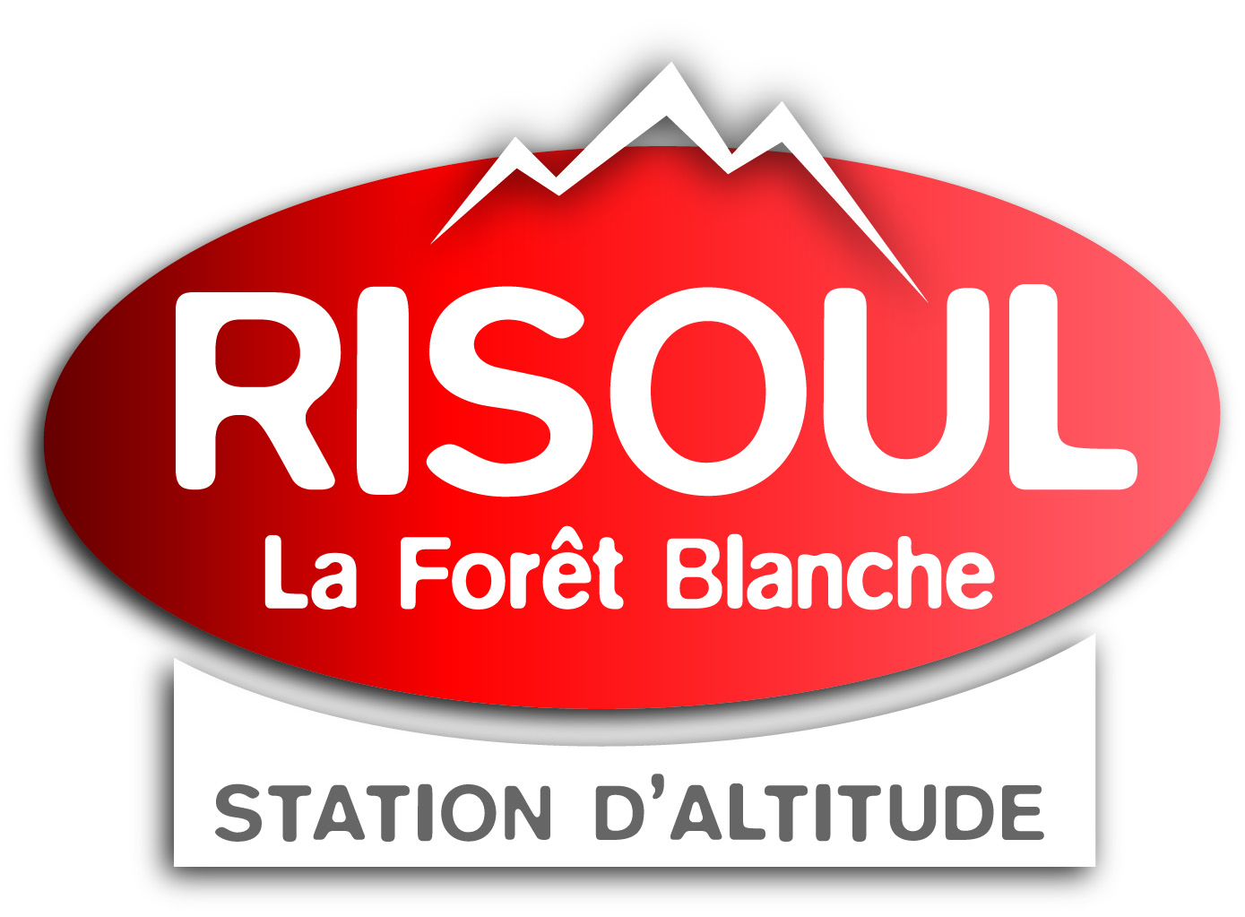 LOGO OFFICIEL RISOUL 1850